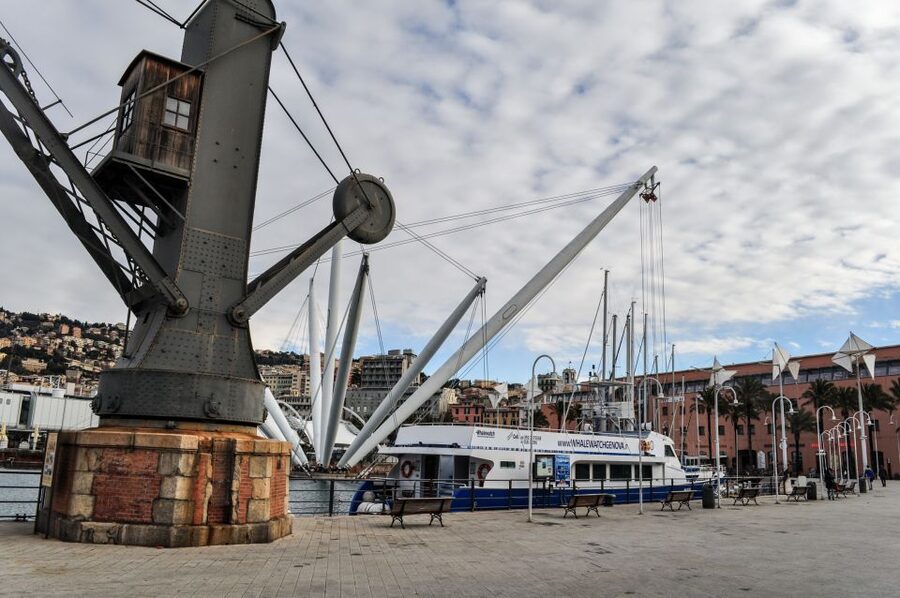 Genoa: Full-Day Tour to Camogli, San Fruttuoso & Portofino - Who will enjoy this boat trip most