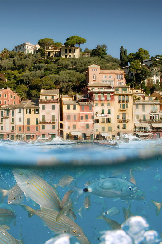 Genoa: Half-Day Tour to Portofino - Camogli, San Fruttuoso Bay, and the Portofino Promontory