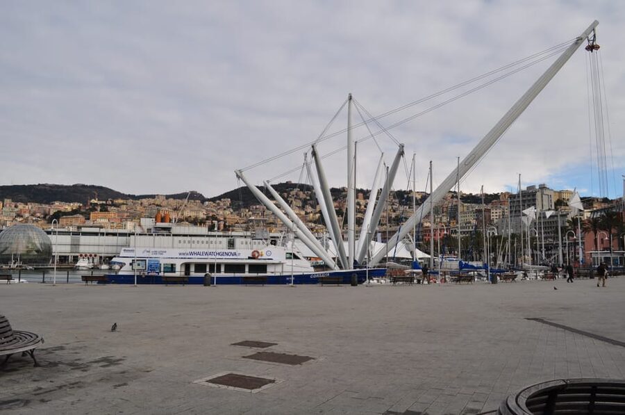 Genoa: Half-Day Tour to Portofino - Simple ways to make the afternoon better
