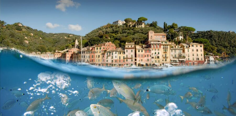 Genoa: Half-Day Tour to Portofino - Should you book the Genoa to Portofino boat trip?