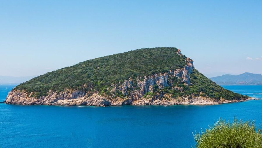 Golfo Aranci: Dolphin Watching and Snorkeling Boat Tour - The essentials at a glance