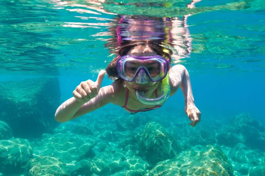 Golfo Aranci: Dolphin Watching and Snorkeling Boat Tour - Cruising toward Cape Figari and Figarolo