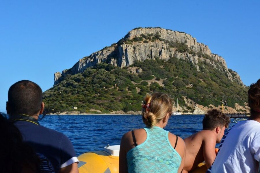 Golfo Aranci: Eco-Friendly Dolphin Watching Boat Trip - Why the fish farm brings dolphins close
