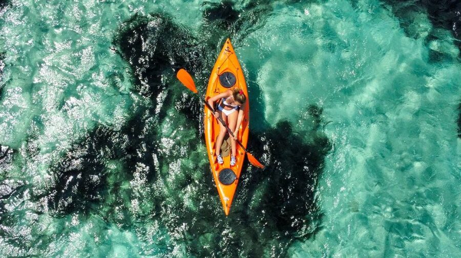 Golfo Aranci: Kayak Tour with Dolphins and Aperitif - Figarolo island and the local food stop