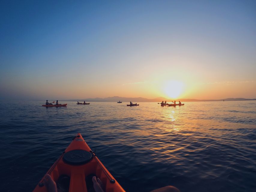Golfo Aranci: Kayak Tour with Dolphins and Aperitif - Searching for dolphins near the offshore fish farm