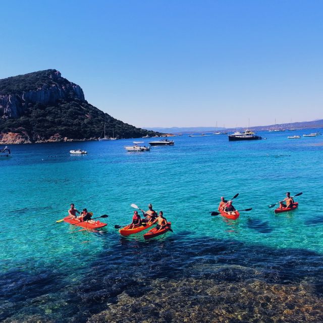 Golfo Aranci: Kayak Tour with Dolphins and Aperitif - Paddling across Golfo Aranci