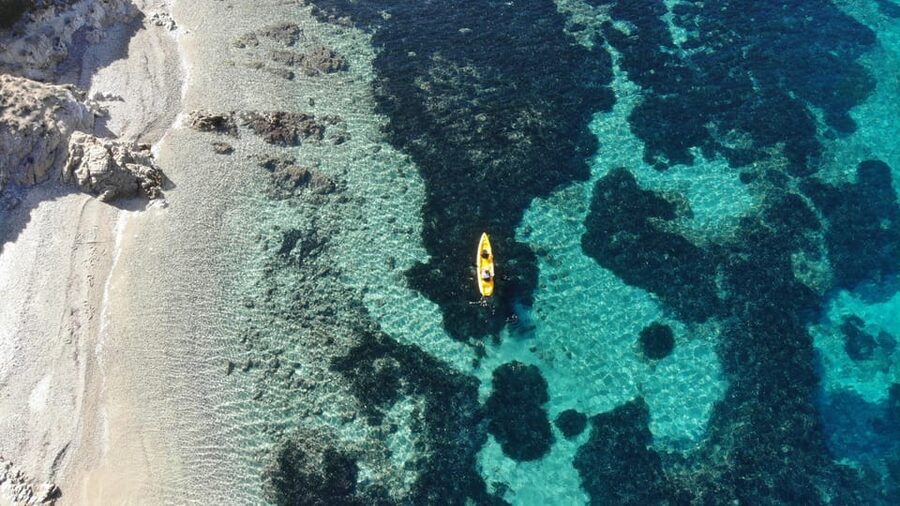 Golfo Aranci: Small group Kayak tour with Aperitif &dolphins - Quick take: what makes this tour worth your time