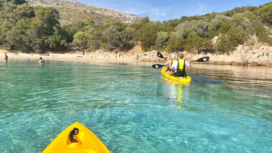 Golfo Aranci: Small group Kayak tour with Aperitif &dolphins - Who should book this Golfo Aranci outing?