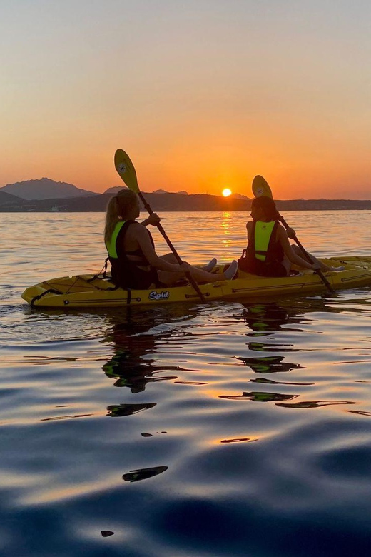 Golfo Aranci: Small group Kayak tour with Aperitif &dolphins - Dolphin watching near the fish farm