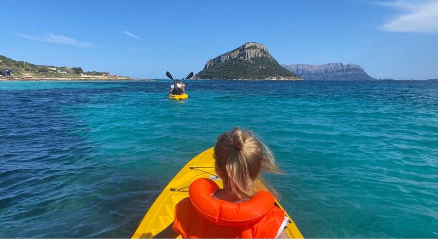 Golfo Aranci: Small group Kayak tour with Aperitif &dolphins - Is $58 good value?