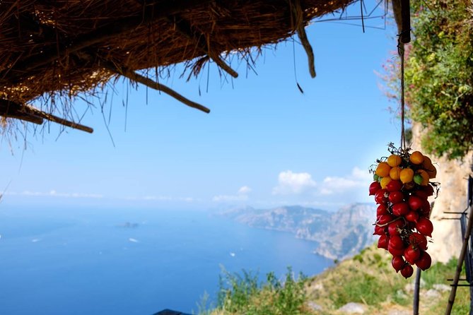 Guided Day Hike on the Path of the Gods with Sorrento Transfer - Key Points to Know Before You Go