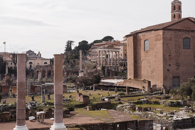 Guided Tour of the Colosseum, Forum and Palatine Hill - Climbing Palatine Hill and seeing imperial Rome
