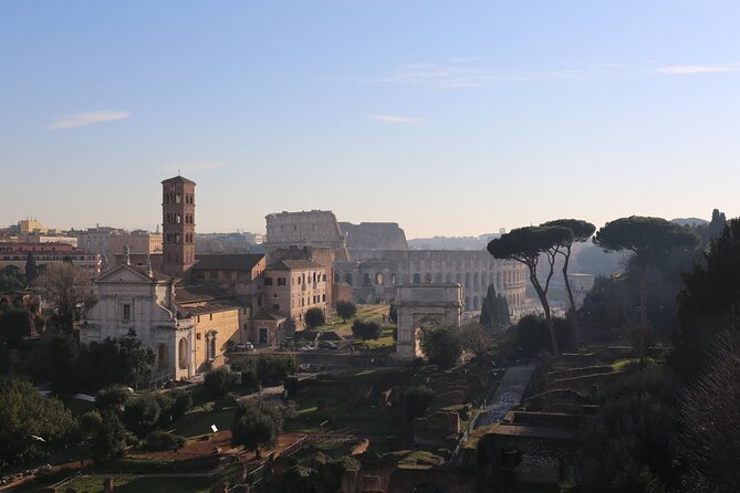 Guided Tour of the Colosseum, Forum and Palatine Hill - Who should book this ancient Rome walk?