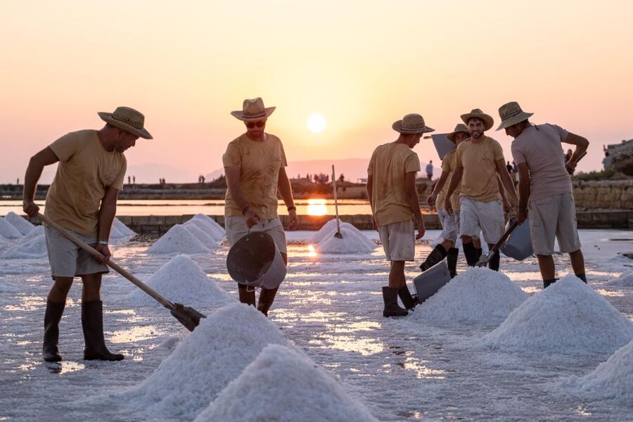 Guided tour of the Trapani Salt Pans and Salt Museum - Key details to know before you go