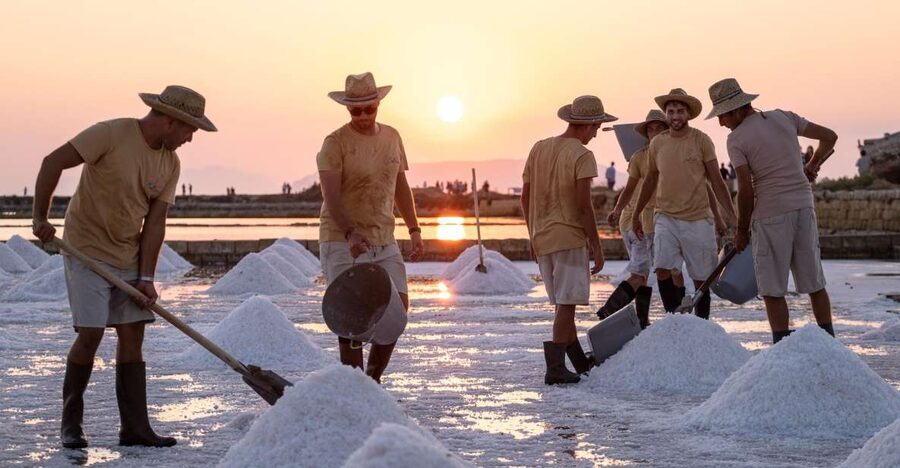 Guided tour of the Trapani Salt Pans and Salt Museum - Languages, timing, and what to expect from the guide