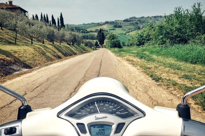 Half day Chianti Vineyard Escape from Florence with Wine Tastings - Group size, guide quality, and the pace of the day