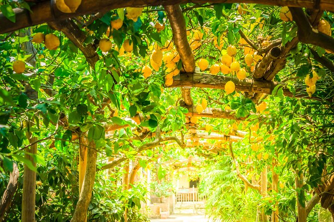 Hands-On Cooking Class & Farmhouse Tour on the Amalfi Coast - Is $156 a fair price?