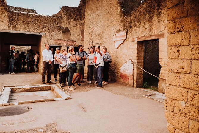 Herculaneum Small Group Tour and Ticket With an Archaeologist - The College of the Augustales and the House of the Telephus Relief