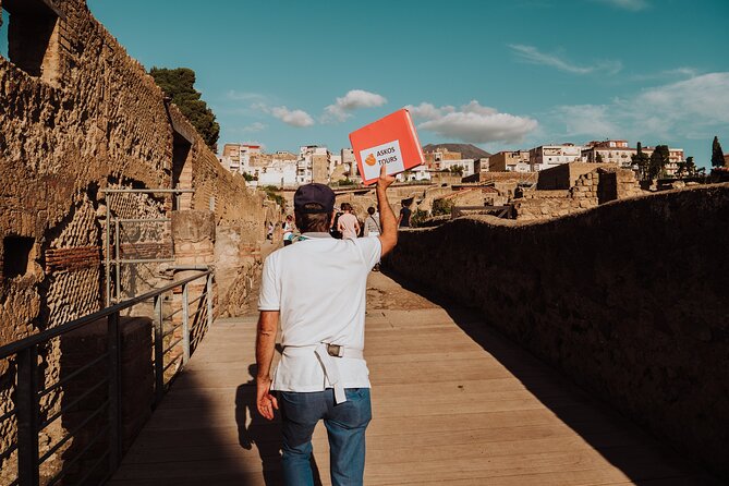 Herculaneum Small Group Tour and Ticket With an Archaeologist - The Black Salon and Casa Sannitica