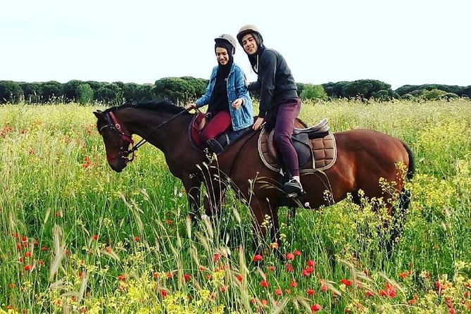 Horse Sanctuary & Trail Ride in Ostia Antica - Arriving at Cavalieri di Gaia