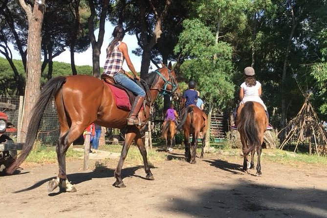 Horse Sanctuary & Trail Ride in Ostia Antica - Weather, mud, and the need for flexibility