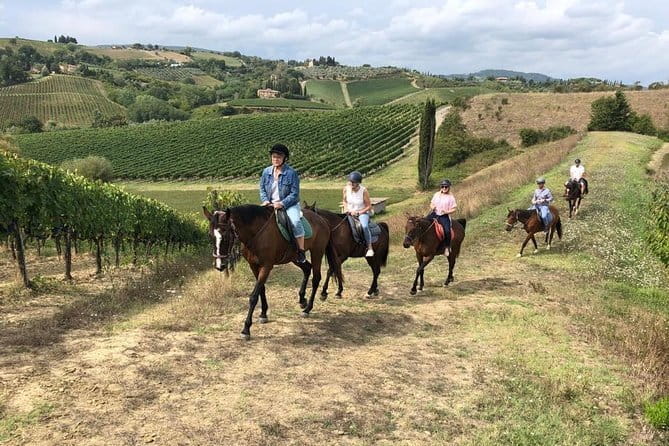 Horseback Ride in S.Gimignano with Tuscan Lunch Chianti Tasting - At a glance: the details that matter