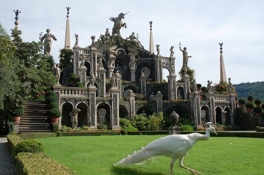 Isola dei Pescatori and Isola Bella Hop-on Hop-off Boat - Key points before you book