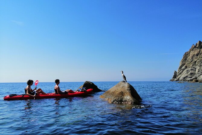 Kayak experience with Carnassa Tour in Cinque Terre + Snorkeling - Guides who make the difference