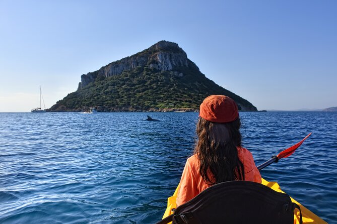 Kayak tour with aperitif and dolphins - Key things to know before you paddle