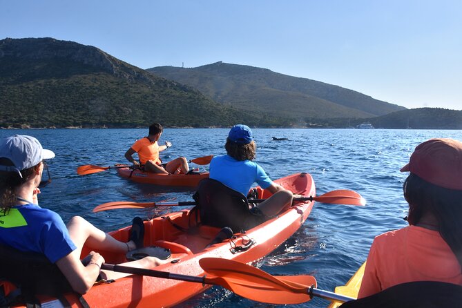Kayak tour with aperitif and dolphins - Swimming and surface snorkeling at Cala Moresca
