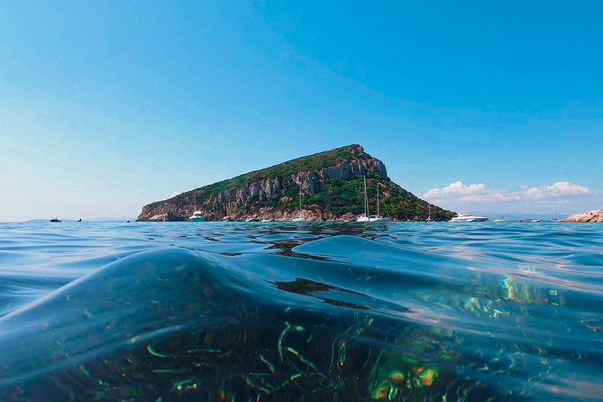 Kayak tour with aperitif and dolphins - Figarolo Island, Sardinian snacks, and local drinks