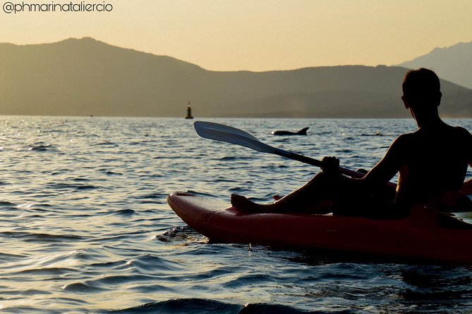 Kayak tour with aperitif and dolphins - Guides who make the difference