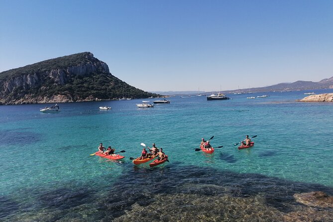 Kayak tour with aperitif and dolphins - Is $54.42 a fair price?