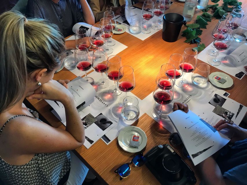 Lake Garda: Wine Tour and Tasting Experience in Bardolino - Arriving at Tenuta La Cà near Bardolino