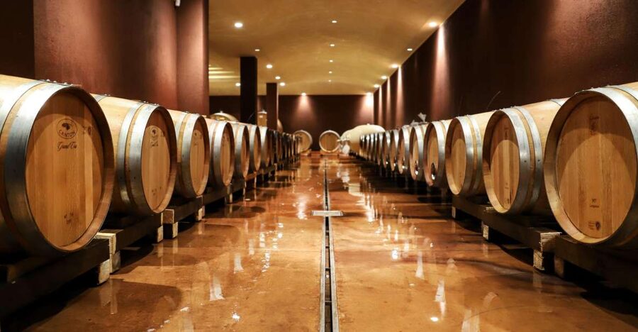 Lake Garda: Wine Tour and Tasting Experience in Bardolino - Tasting four wines with local products