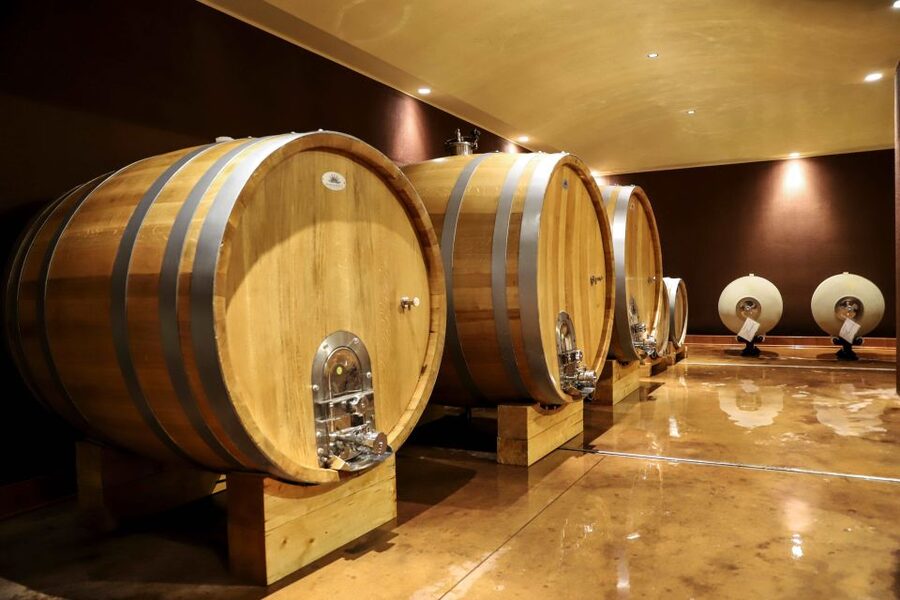 Lake Garda: Wine Tour and Tasting Experience in Bardolino - Practical advice for a smooth visit