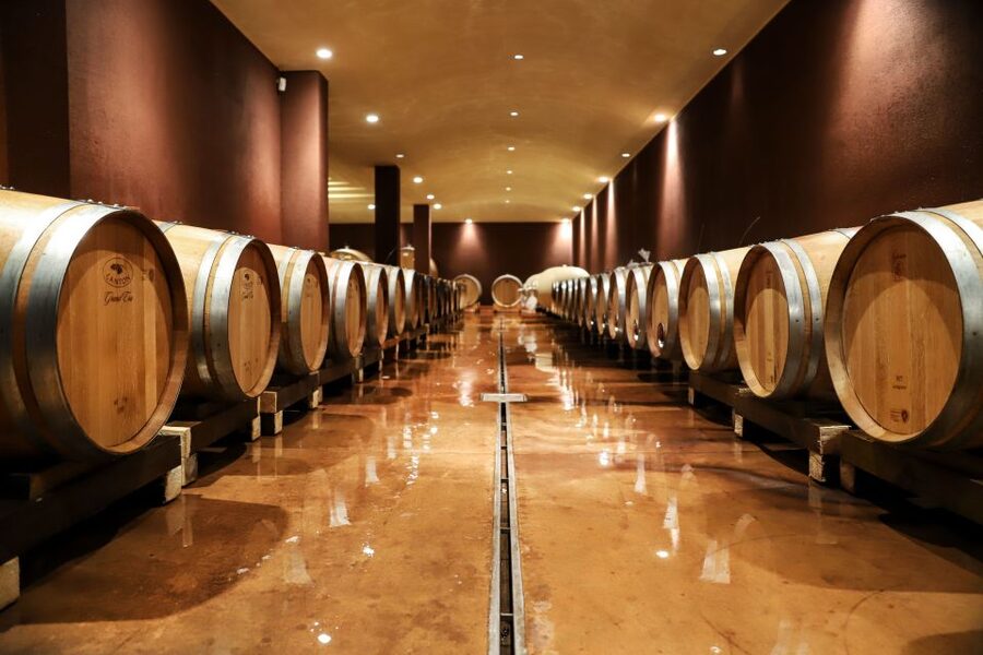 Lake Garda: Wine Tour and Tasting Experience in Bardolino - The winery visit, from harvest to bottle