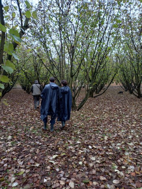 Langhe: Truffle Hunting Experience - Practical advice for a smoother morning