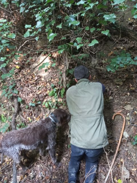 Langhe: Truffle Hunting Experience - Learning where white and black truffles grow