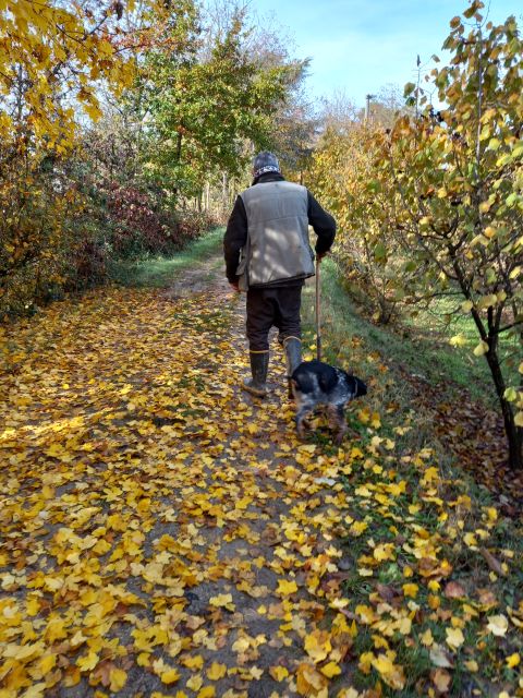 Langhe: Truffle Hunting Experience - Is $94 a fair price?