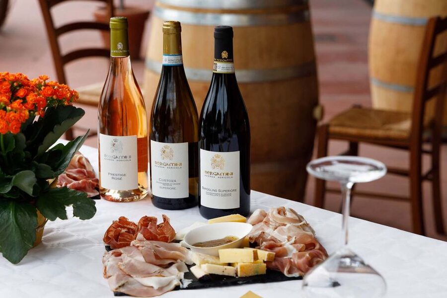 Lazise: Winery Tour with Garda Wines and Food Tasting - Key points at a glance