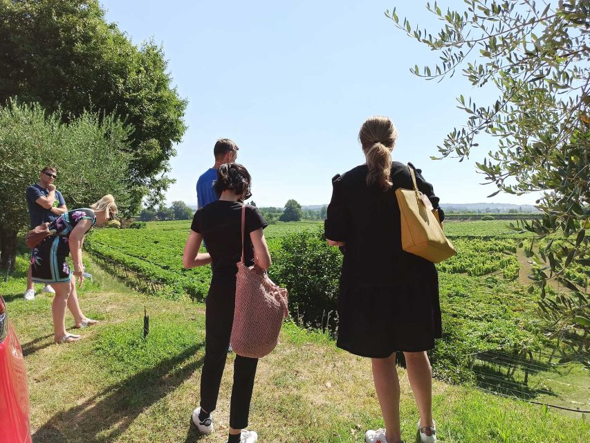Lazise: Winery Tour with Garda Wines and Food Tasting - From fermentation tanks to aging rooms