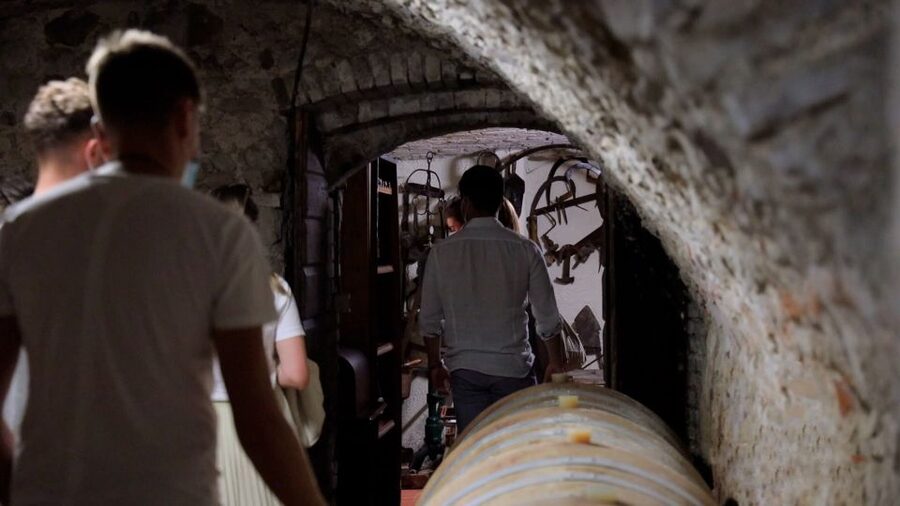 Lazise: Winery Tour with Garda Wines and Food Tasting - Local food that makes the wine easier to understand