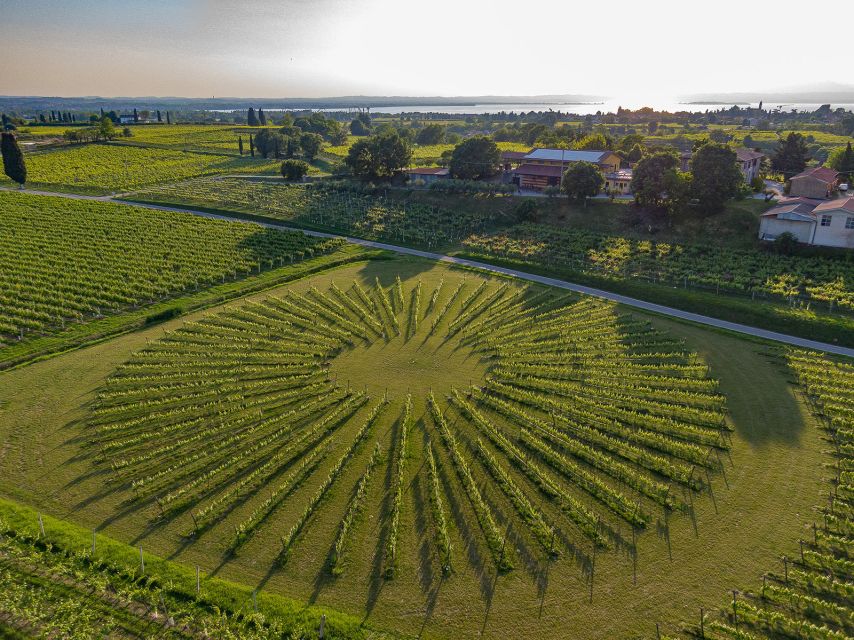 Lazise: Winery Tour with Garda Wines and Food Tasting - The guides shape the whole afternoon