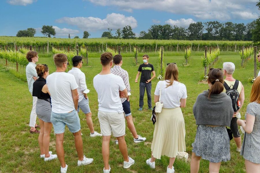 Lazise: Winery Tour with Garda Wines and Food Tasting - Who should book this winery visit?