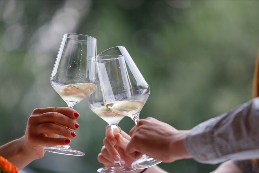 Lazise: Winery Tour with Garda Wines and Food Tasting - Beginning among the Bergamini grapevines