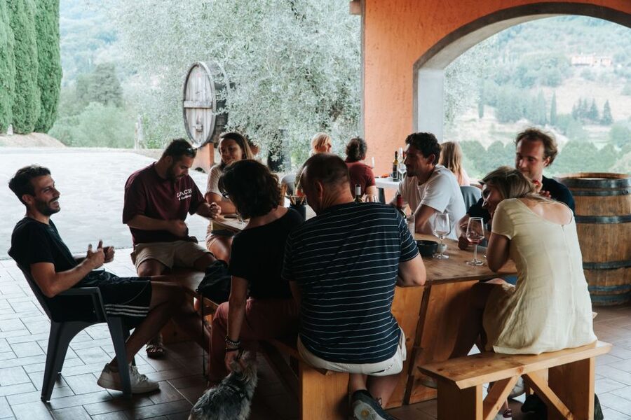 Lucca: Guided Winery Tour with Wine Tasting - Four wines, possibly five, with a proper explanation