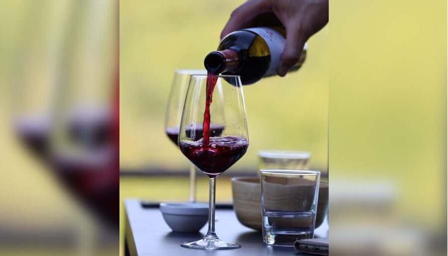 Lucca: Guided Winery Tour with Wine Tasting - The cellar tour explains the work behind the bottle