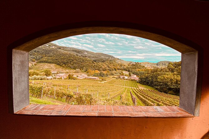 Lucca: Wine Tasting Experience - Tenuta Adamo Winery - Quick Take: What Makes Tenuta Adamo Worth Your Time