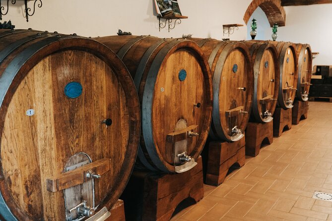 Lucca: Wine Tasting Experience - Tenuta Adamo Winery - Focaccia and Olive Oil Make the Tasting Better